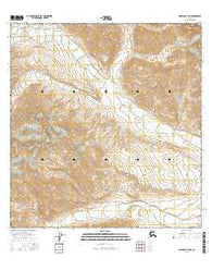 Nabesna A-3 NW Alaska Current topographic map, 1:25000 scale, 7.5 X 7.5 Minute, Year 2016