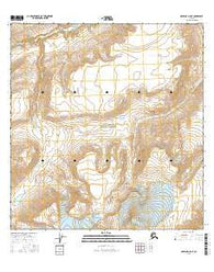 Nabesna A-5 NE Alaska Current topographic map, 1:25000 scale, 7.5 X 7.5 Minute, Year 2016