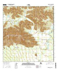 Nabesna B-1 NE Alaska Current topographic map, 1:25000 scale, 7.5 X 7.5 Minute, Year 2016