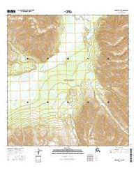 Nabesna B-4 NE Alaska Current topographic map, 1:25000 scale, 7.5 X 7.5 Minute, Year 2016