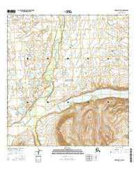 Nabesna B-6 NE Alaska Current topographic map, 1:25000 scale, 7.5 X 7.5 Minute, Year 2016
