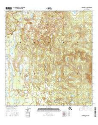 Nabesna D-1 SW Alaska Current topographic map, 1:25000 scale, 7.5 X 7.5 Minute, Year 2016