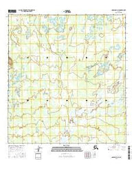 Nabesna D-3 NE Alaska Current topographic map, 1:25000 scale, 7.5 X 7.5 Minute, Year 2016