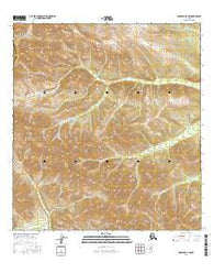 Nabesna D-4 NW Alaska Current topographic map, 1:25000 scale, 7.5 X 7.5 Minute, Year 2016