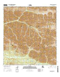 Nabesna D-5 NE Alaska Current topographic map, 1:25000 scale, 7.5 X 7.5 Minute, Year 2016