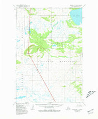 Naknek B-1 Alaska Historical topographic map, 1:63360 scale, 15 X 15 Minute, Year 1951