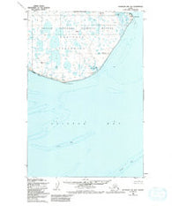 Nushagak Bay B-3 Alaska Historical topographic map, 1:63360 scale, 15 X 15 Minute, Year 1950