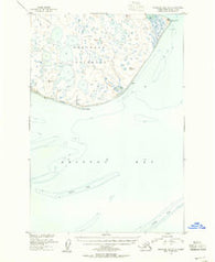 Nushagak Bay B-3 Alaska Historical topographic map, 1:63360 scale, 15 X 15 Minute, Year 1950