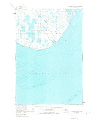 Nushagak Bay B-3 Alaska Historical topographic map, 1:63360 scale, 15 X 15 Minute, Year 1950
