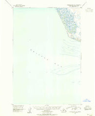 Nushagak Bay B-4 Alaska Historical topographic map, 1:63360 scale, 15 X 15 Minute, Year 1950