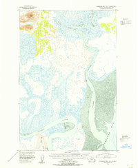 Nushagak Bay D-3 Alaska Historical topographic map, 1:63360 scale, 15 X 15 Minute, Year 1952
