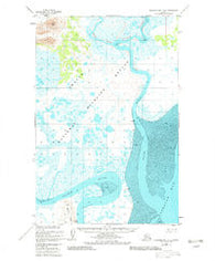 Nushagak Bay D-3 Alaska Historical topographic map, 1:63360 scale, 15 X 15 Minute, Year 1948