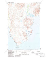 Nushagak Bay D-6 Alaska Historical topographic map, 1:63360 scale, 15 X 15 Minute, Year 1950
