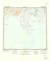 Nushagak Bay Alaska Historical topographic map, 1:250000 scale, 1 X 2 Degree, Year 1945
