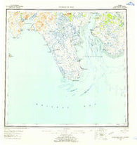 Nushagak Bay Alaska Historical topographic map, 1:250000 scale, 1 X 2 Degree, Year 1951