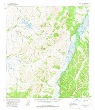 Ophir B-2 Alaska Historical topographic map, 1:63360 scale, 15 X 15 Minute, Year 1965