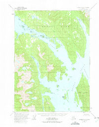 Petersburg A-1 Alaska Historical topographic map, 1:63360 scale, 15 X 15 Minute, Year 1951
