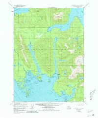 Petersburg A-2 Alaska Historical topographic map, 1:63360 scale, 15 X 15 Minute, Year 1953