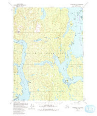 Petersburg A-4 Alaska Historical topographic map, 1:63360 scale, 15 X 15 Minute, Year 1949