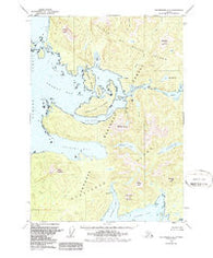 Petersburg A-5 Alaska Historical topographic map, 1:63360 scale, 15 X 15 Minute, Year 1949