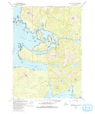 Petersburg A-5 Alaska Historical topographic map, 1:63360 scale, 15 X 15 Minute, Year 1949