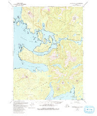 Petersburg A-5 Alaska Historical topographic map, 1:63360 scale, 15 X 15 Minute, Year 1949