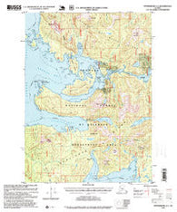 Petersburg A-5 Alaska Historical topographic map, 1:63360 scale, 15 X 15 Minute, Year 1995