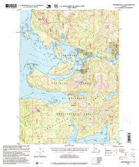 Petersburg A-5 Alaska Historical topographic map, 1:63360 scale, 15 X 15 Minute, Year 1995
