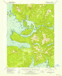 Petersburg A-5 Alaska Historical topographic map, 1:63360 scale, 15 X 15 Minute, Year 1953