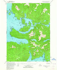 Petersburg A-5 Alaska Historical topographic map, 1:63360 scale, 15 X 15 Minute, Year 1949