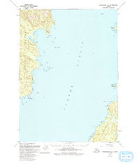 Petersburg A-6 Alaska Historical topographic map, 1:63360 scale, 15 X 15 Minute, Year 1951