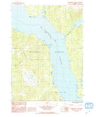 Petersburg B-1 NW Alaska Historical topographic map, 1:25000 scale, 7.5 X 7.5 Minute, Year 1992
