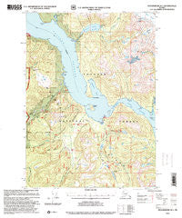 Petersburg B-1 Alaska Historical topographic map, 1:63360 scale, 15 X 15 Minute, Year 1997