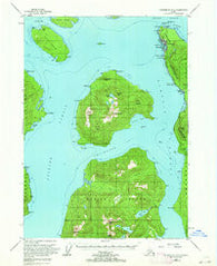 Petersburg B-2 Alaska Historical topographic map, 1:63360 scale, 15 X 15 Minute, Year 1953