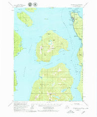 Petersburg B-2 Alaska Historical topographic map, 1:63360 scale, 15 X 15 Minute, Year 1953