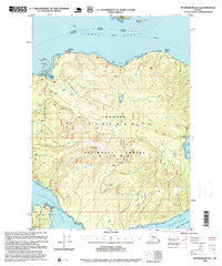 Petersburg B-3 Alaska Historical topographic map, 1:63360 scale, 15 X 15 Minute, Year 1995