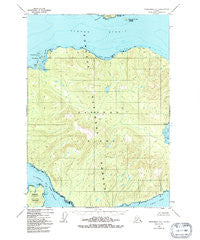 Petersburg B-3 Alaska Historical topographic map, 1:63360 scale, 15 X 15 Minute, Year 1948