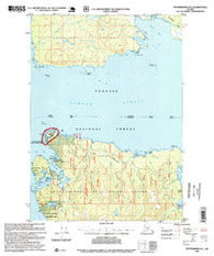 Petersburg B-5 Alaska Historical topographic map, 1:63360 scale, 15 X 15 Minute, Year 1995