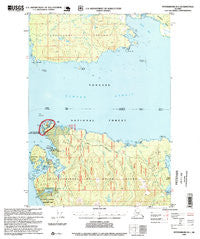 Petersburg B-5 Alaska Historical topographic map, 1:63360 scale, 15 X 15 Minute, Year 1995