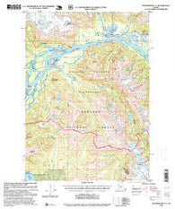 Petersburg C-1 Alaska Historical topographic map, 1:63360 scale, 15 X 15 Minute, Year 1995