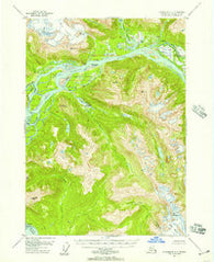 Petersburg C-1 Alaska Historical topographic map, 1:63360 scale, 15 X 15 Minute, Year 1948