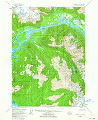 Petersburg C-1 Alaska Historical topographic map, 1:63360 scale, 15 X 15 Minute, Year 1953