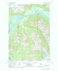 Petersburg C-1 Alaska Historical topographic map, 1:63360 scale, 15 X 15 Minute, Year 1953