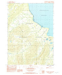 Petersburg C-3 NE Alaska Historical topographic map, 1:25000 scale, 7.5 X 7.5 Minute, Year 1992
