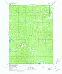 Petersburg C-5 Alaska Historical topographic map, 1:63360 scale, 15 X 15 Minute, Year 1951