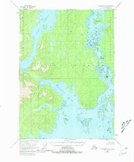 Petersburg C-6 Alaska Historical topographic map, 1:63360 scale, 15 X 15 Minute, Year 1948