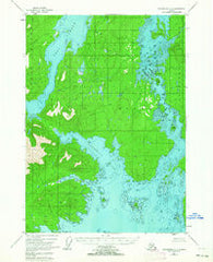 Petersburg C-6 Alaska Historical topographic map, 1:63360 scale, 15 X 15 Minute, Year 1948