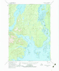 Petersburg C-6 Alaska Historical topographic map, 1:63360 scale, 15 X 15 Minute, Year 1948