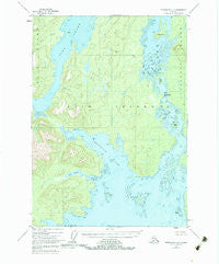 Petersburg C-6 Alaska Historical topographic map, 1:63360 scale, 15 X 15 Minute, Year 1948