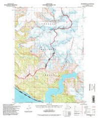 Petersburg D-2 Alaska Historical topographic map, 1:63360 scale, 15 X 15 Minute, Year 1994